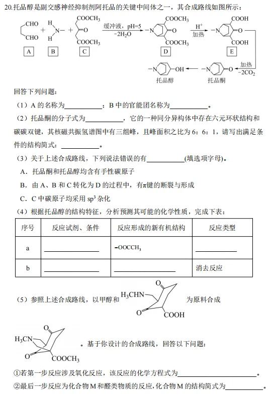 2026届高考前最后一次模拟考试——笔尖轻落,不负时光;此程无憾,未来可期! 第8张