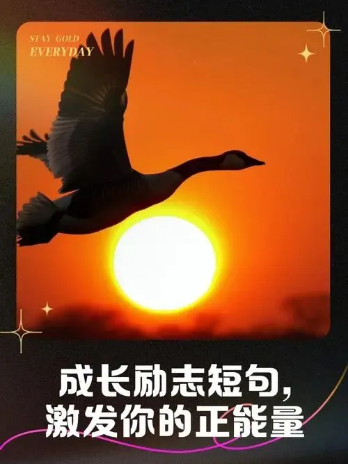 2026年中考语文四大主题作文金句素材集训(成长励志·家国情怀·亲情温情·青春奋斗)-第1张图片-四季读书网