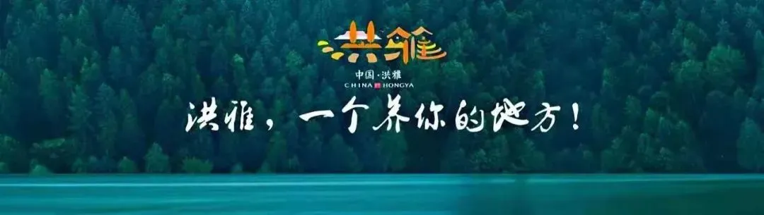 洪雅县教育和体育局2026年高考中考护航倡议书-第1张图片-四季读书网