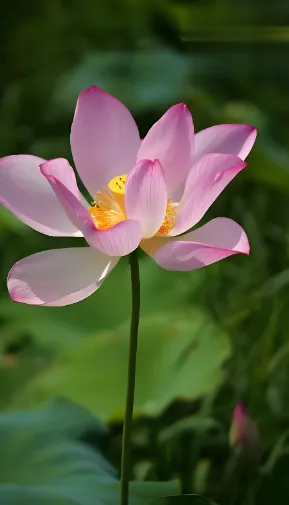(705)江苏省公务员面试真题:小吃 第1张 (705)江苏省公务员面试真题:小吃 第1张
