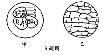 2026年生物中考真题演练1:(2025河南周口) 第1张 2026年生物中考真题演练1:(2025河南周口) 第1张