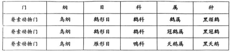 2026年生物中考真题演练1:(2025河南周口) 第11张 2026年生物中考真题演练1:(2025河南周口) 第11张