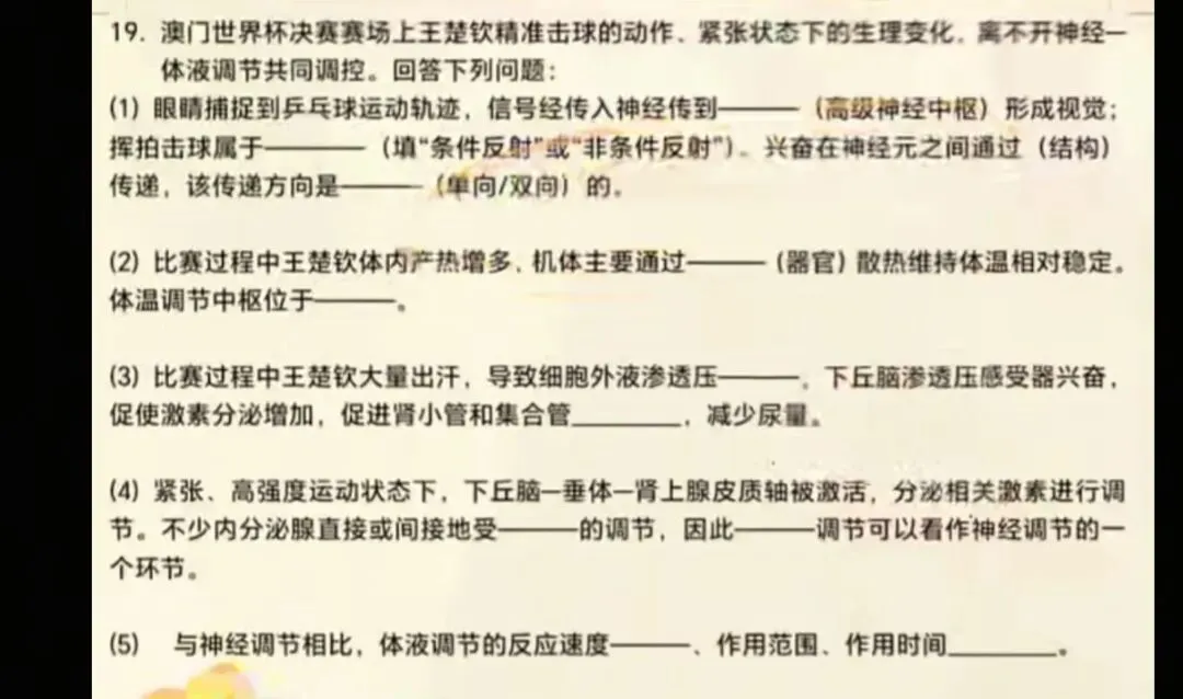 王楚钦“霸屏”各科试卷,原来藏着这么多秘密! 第1张 王楚钦“霸屏”各科试卷,原来藏着这么多秘密! 第1张