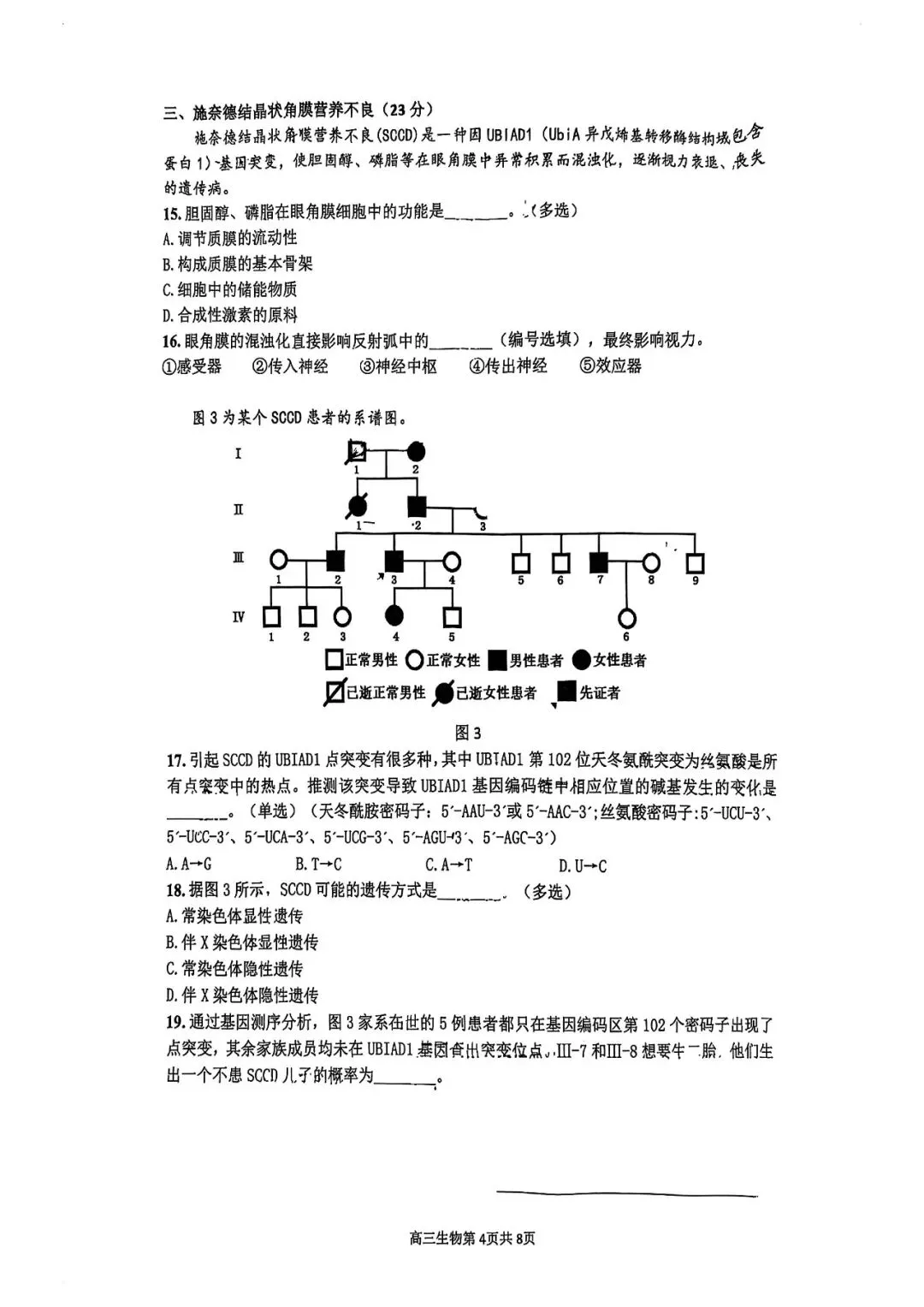 2026届金山区高三二模生物试卷 第4张