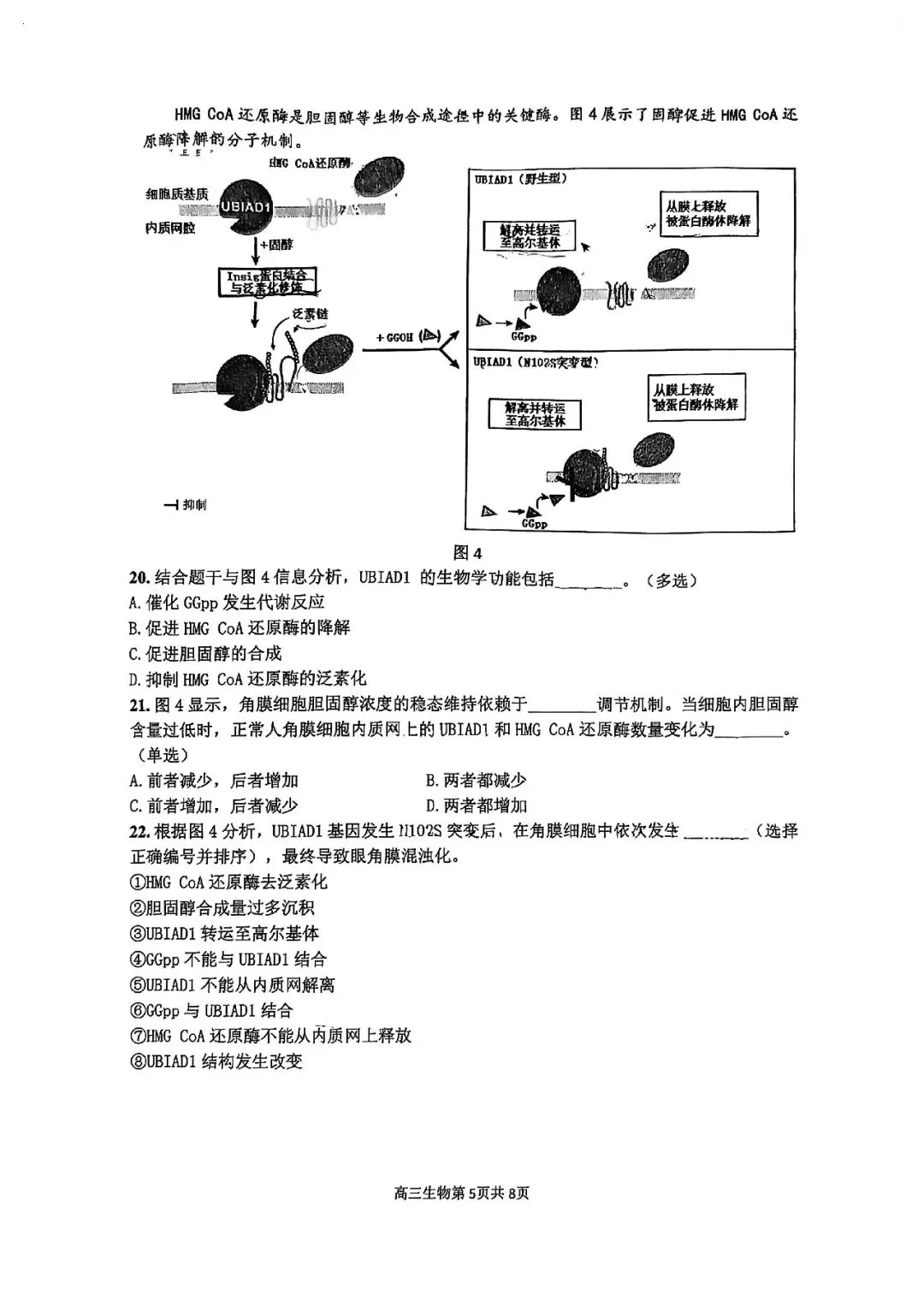 2026届金山区高三二模生物试卷 第5张