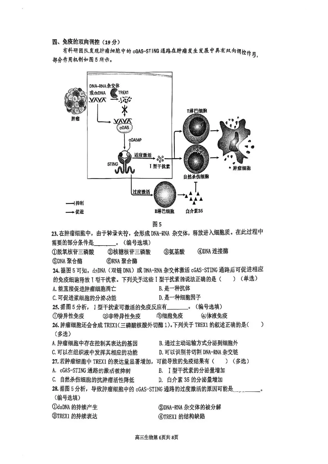 2026届金山区高三二模生物试卷 第6张