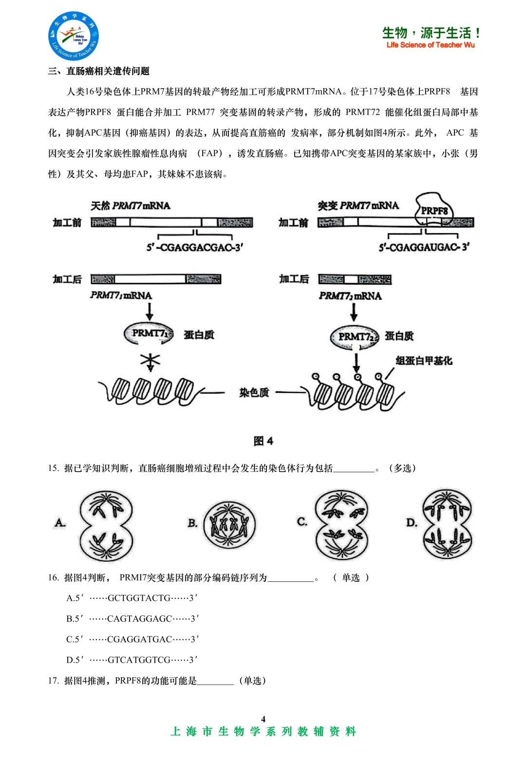 2025年虹口区高中学业水平考试高二等级考模拟考试-生物试卷 第4张