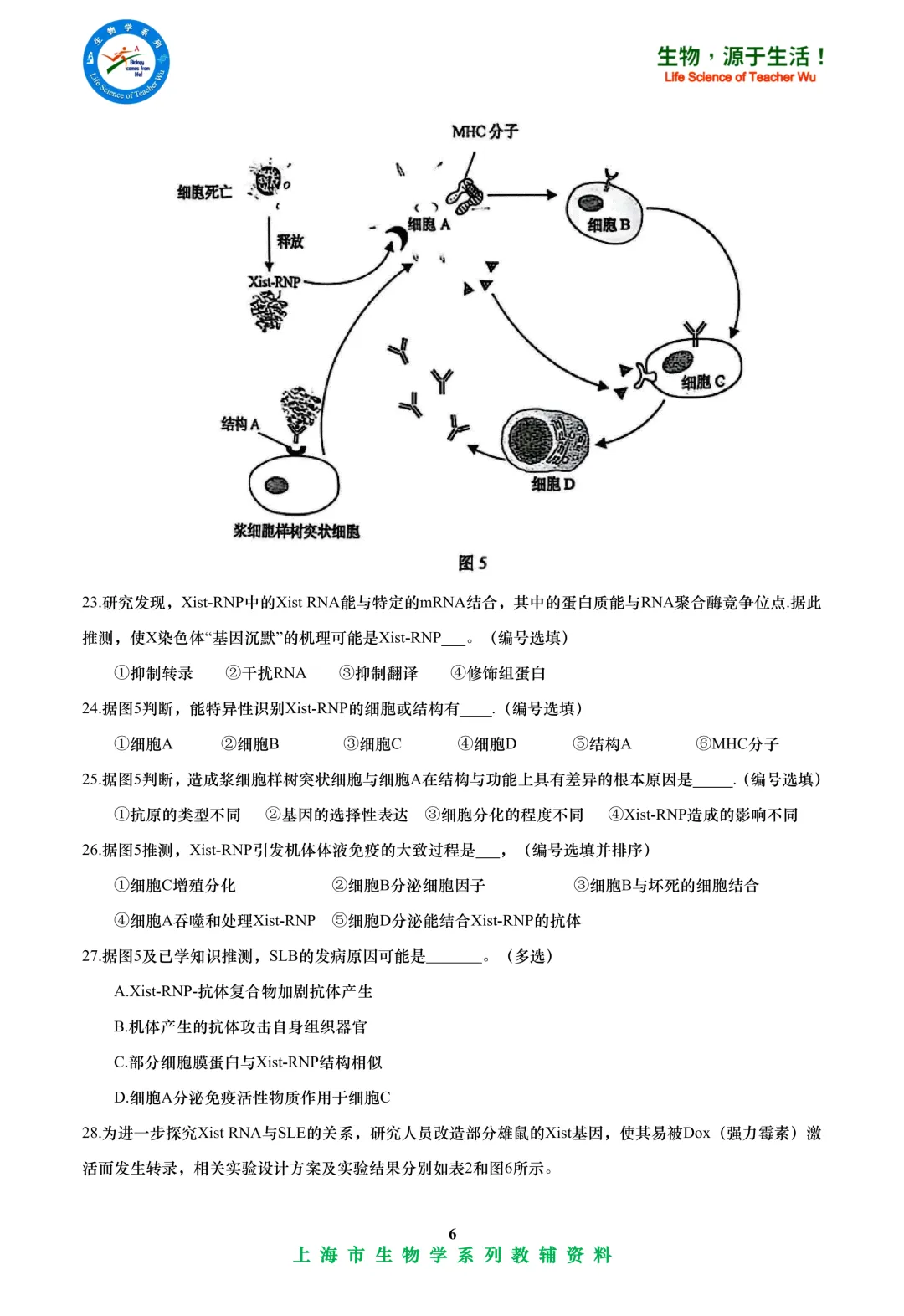 2025年虹口区高中学业水平考试高二等级考模拟考试-生物试卷 第6张