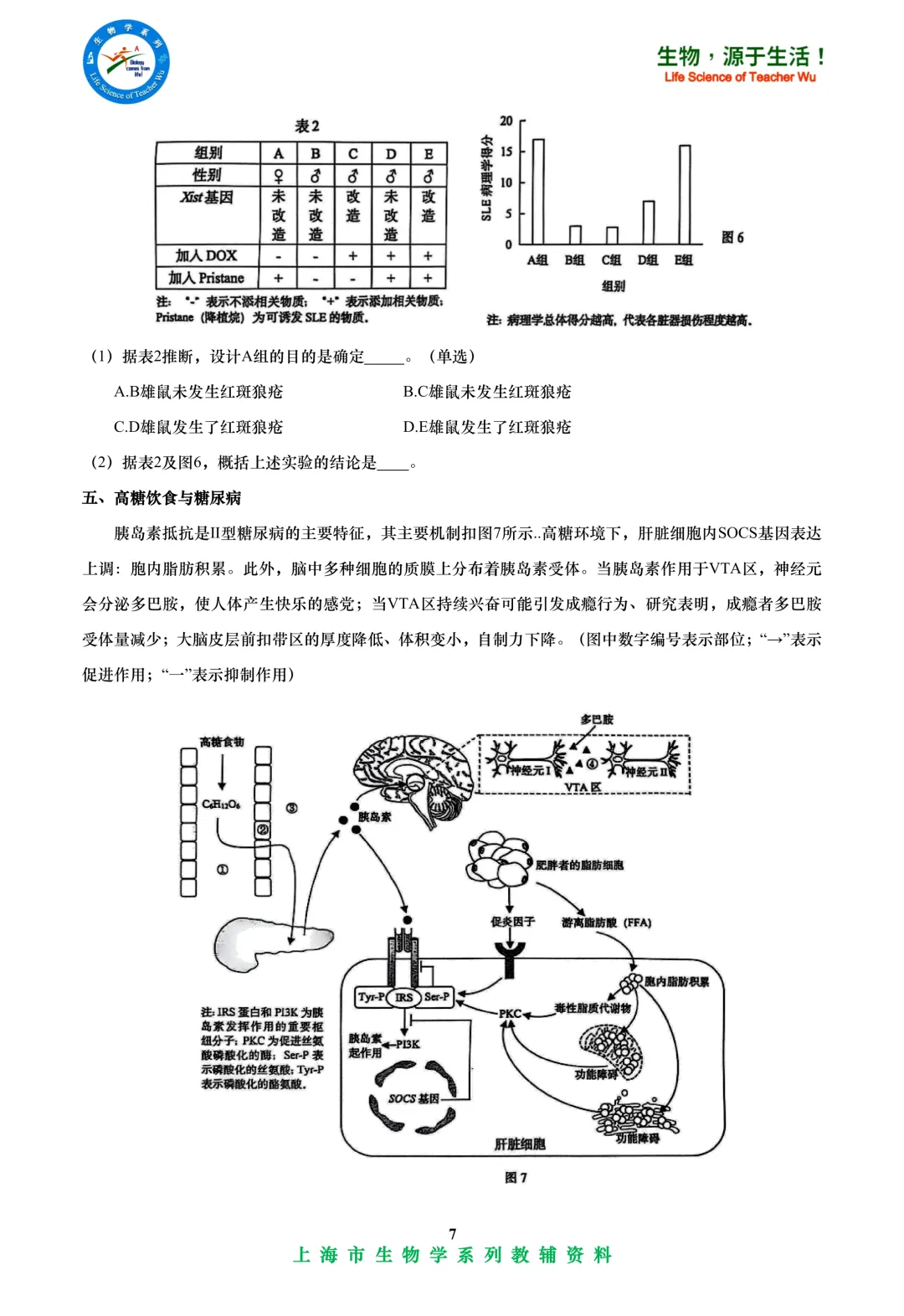 2025年虹口区高中学业水平考试高二等级考模拟考试-生物试卷 第7张