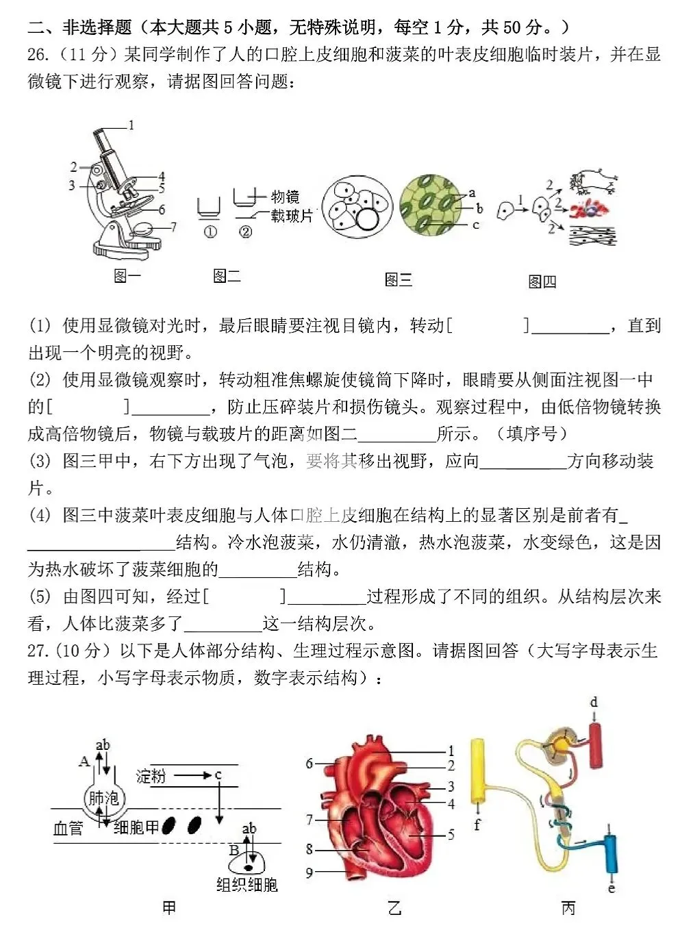 模拟试卷:2026年初中生物中考真题模拟卷|试题 第9张