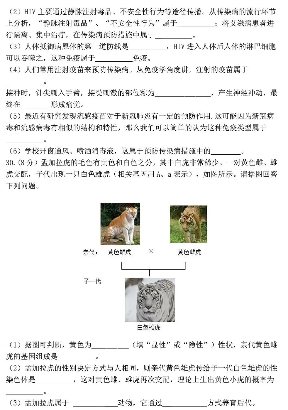模拟试卷:2026年初中生物中考真题模拟卷|试题 第11张
