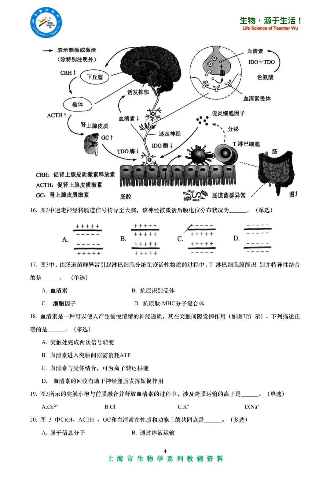 2025年杨浦区高中学业水平考试高二等级考模拟考试-生物试卷 第4张