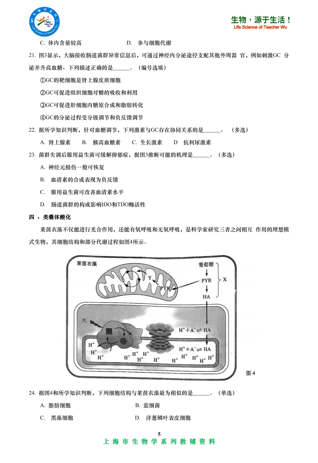 2025年杨浦区高中学业水平考试高二等级考模拟考试-生物试卷 第5张