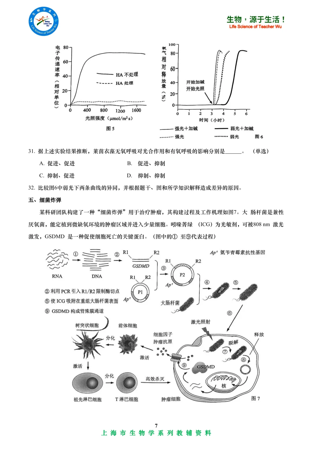 2025年杨浦区高中学业水平考试高二等级考模拟考试-生物试卷 第7张