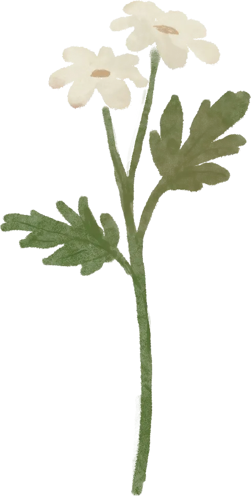 【LOT英语】吃透命题规律!武汉近3年中考英语作文深度解析+仿真题+双版范文 第28张 【LOT英语】吃透命题规律!武汉近3年中考英语作文深度解析+仿真题+双版范文 第28张