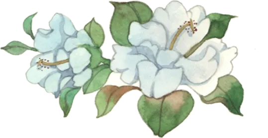 逐梦中考,笔底生花 ——记AI赋能教育专家沈翔老师莅临瑞安市瑞祥实验学校开展作文指导讲座 第8张 逐梦中考,笔底生花 ——记AI赋能教育专家沈翔老师莅临瑞安市瑞祥实验学校开展作文指导讲座 第8张