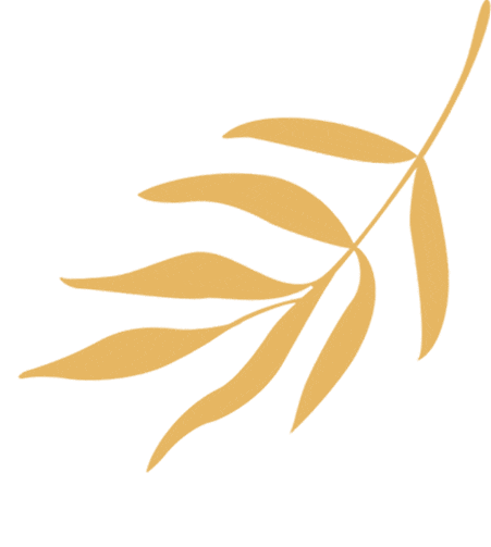 点亮希望,剑指中考 第11张