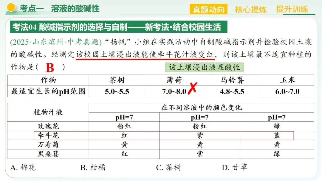 常见的酸碱盐中考复习 第13张