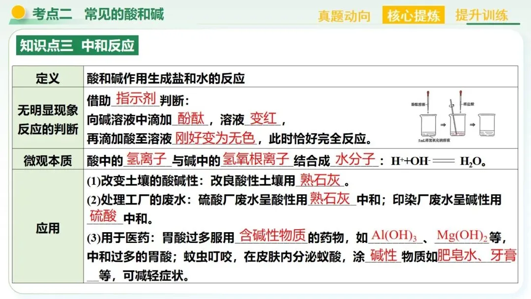 常见的酸碱盐中考复习 第41张
