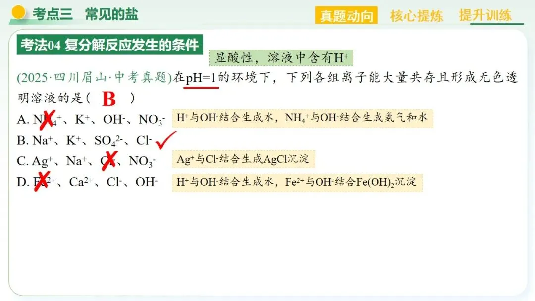 常见的酸碱盐中考复习 第56张