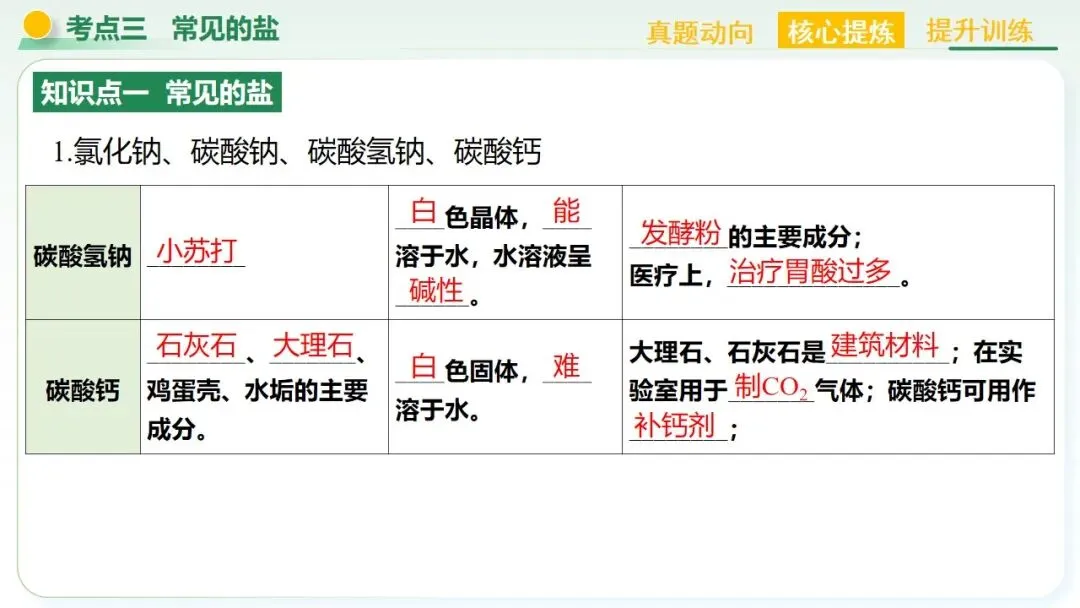 常见的酸碱盐中考复习 第60张
