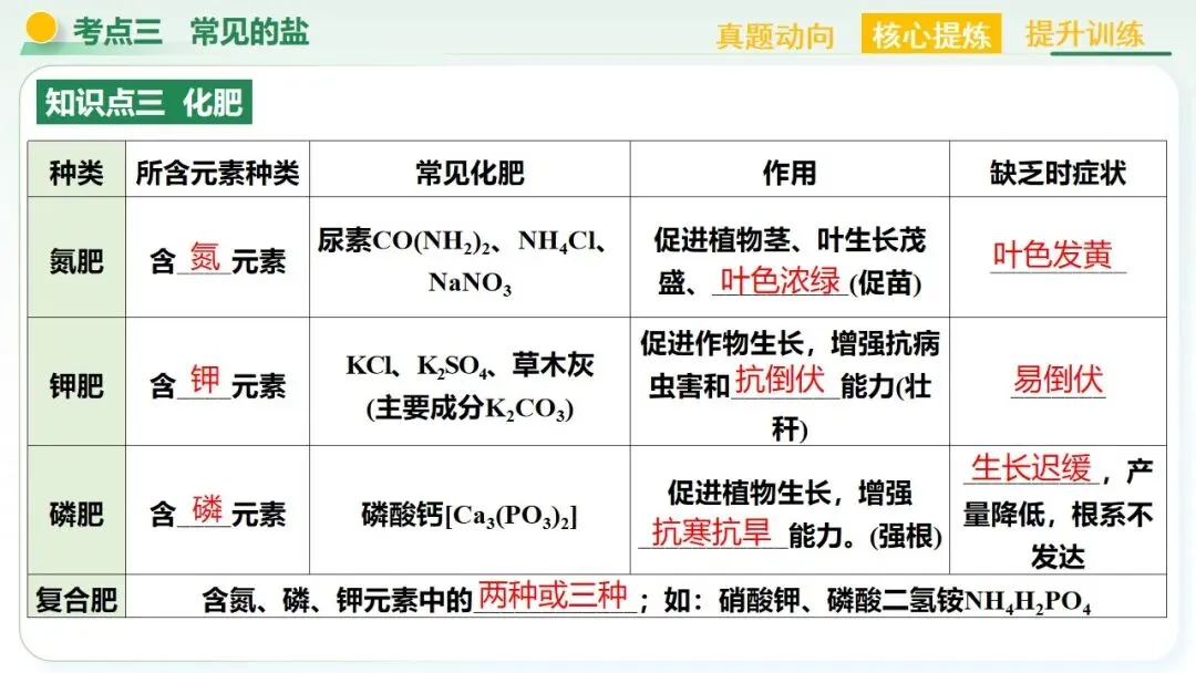 常见的酸碱盐中考复习 第62张