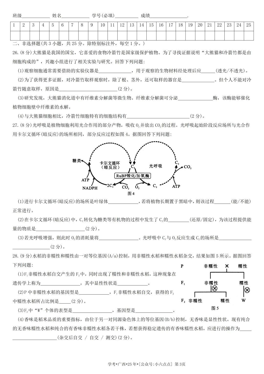 生物学考真题•2025年•广西 第3张 生物学考真题•2025年•广西 第3张