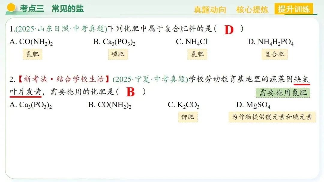 常见的酸碱盐中考复习 第63张