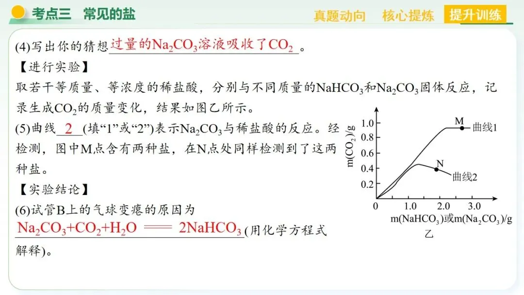 常见的酸碱盐中考复习 第70张