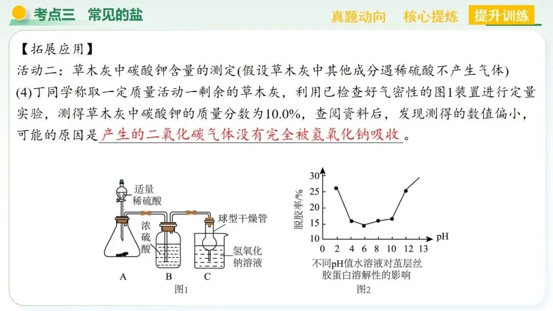 常见的酸碱盐中考复习 第73张