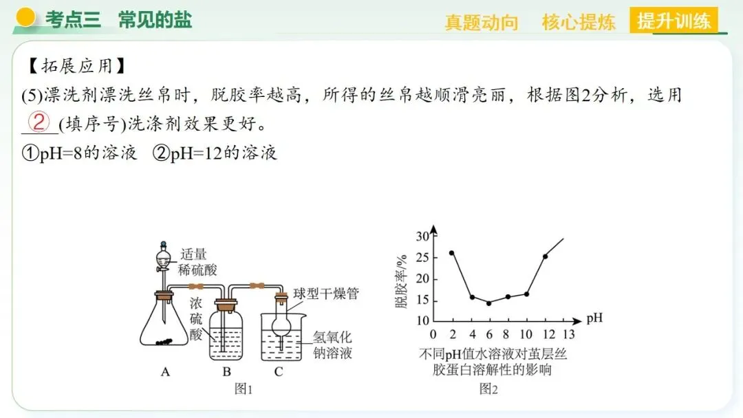 常见的酸碱盐中考复习 第74张