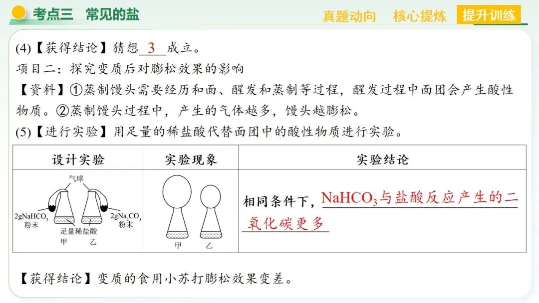 常见的酸碱盐中考复习 第77张