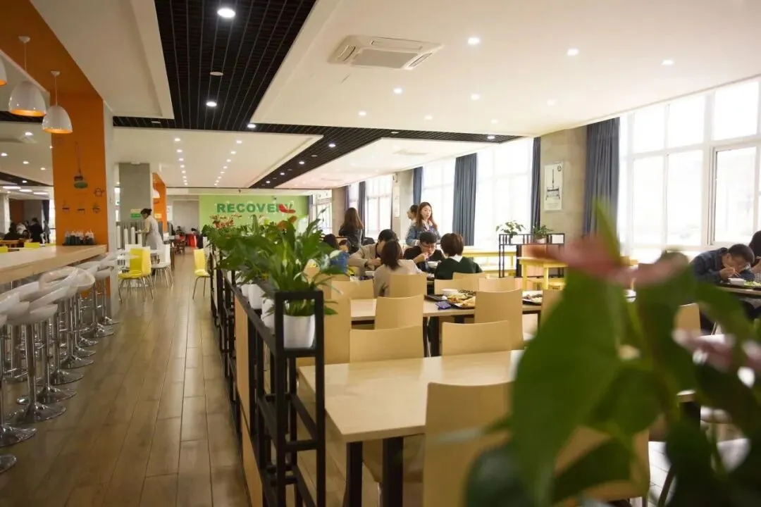 中考新选择|肯特新马班:国内普高课程+国际升学,双轨保障 第52张 中考新选择|肯特新马班:国内普高课程+国际升学,双轨保障 第52张