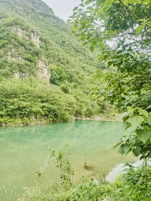 2025高考真题---河北卷(原卷+参考答案) 第13张 2025高考真题---河北卷(原卷+参考答案) 第13张