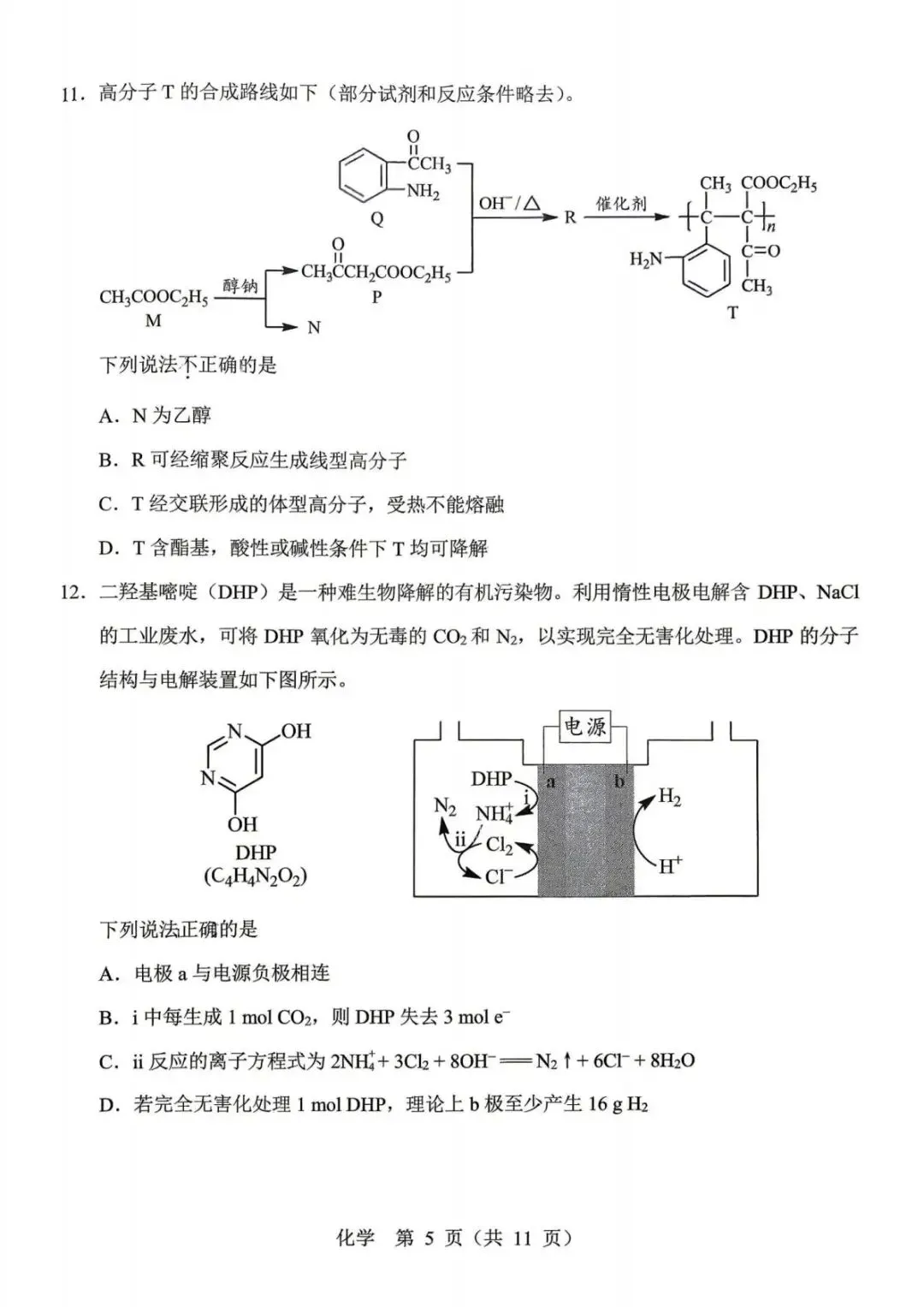 北京市十一学校2026届高三下学期5月模拟考试 化学试卷.pdf 第5张