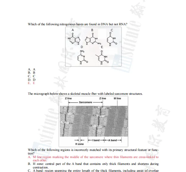USABO BBO 历年真题精讲与考点拆解,翰林暑期班助你冲刺双金!-第9张图片-四季读书网