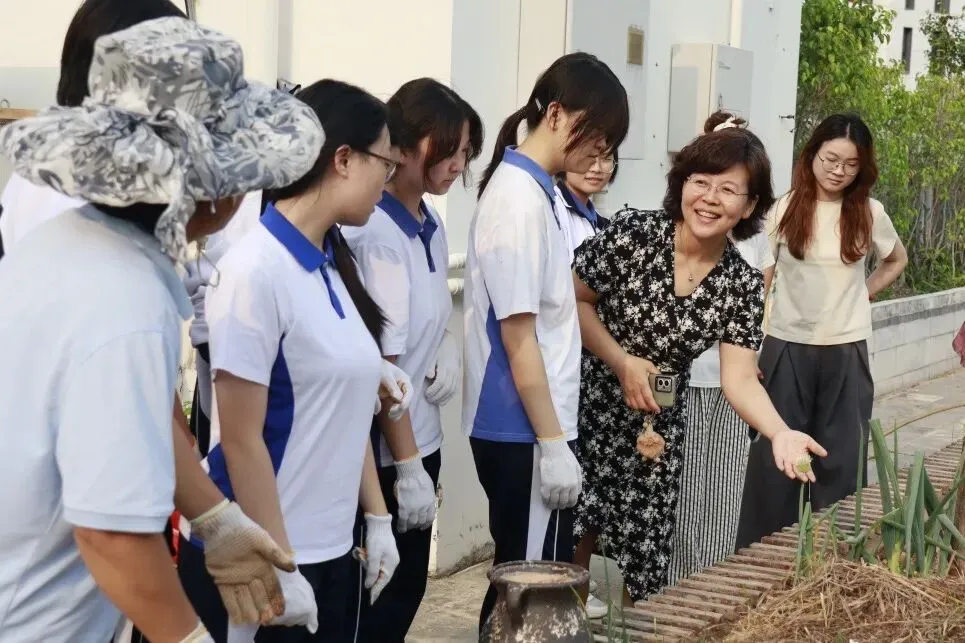 文化or艺术!深圳市艺术高中2026中考招生热点问答!-第43张图片-四季读书网 文化or艺术!深圳市艺术高中2026中考招生热点问答!-第43张图片-四季读书网