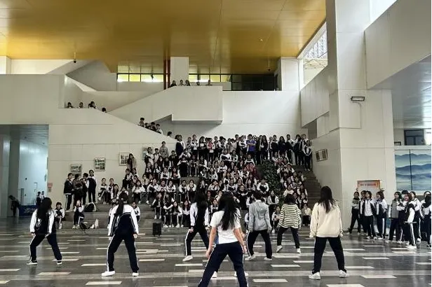文化or艺术!深圳市艺术高中2026中考招生热点问答!-第48张图片-四季读书网 文化or艺术!深圳市艺术高中2026中考招生热点问答!-第48张图片-四季读书网