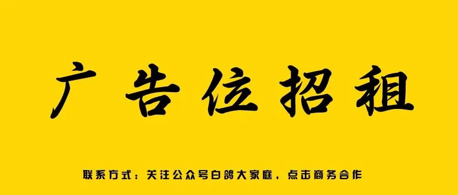 广东2026中考倒计时:中考时间+注意事项 第4张 广东2026中考倒计时:中考时间+注意事项 第4张
