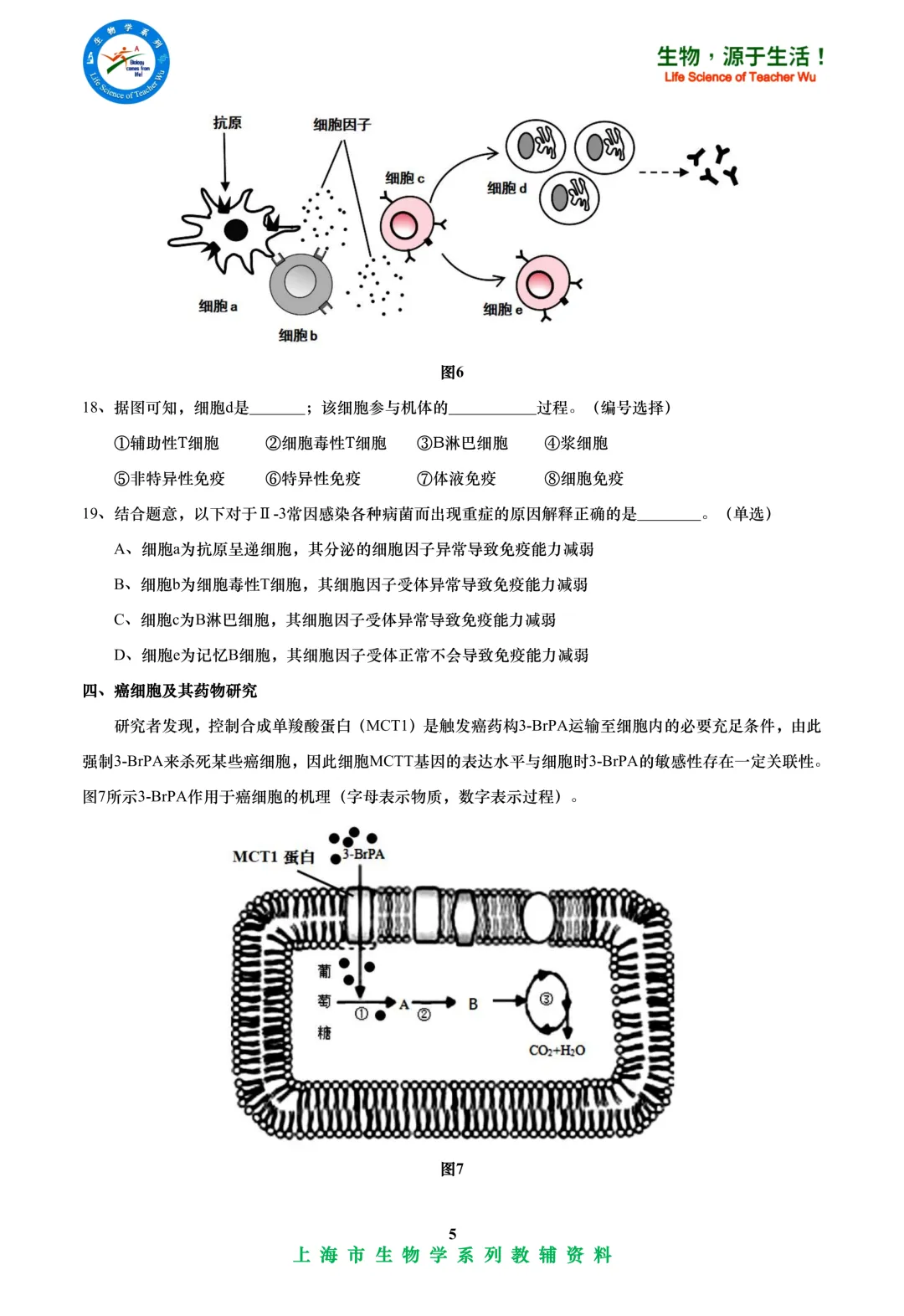 2025年嘉定区高中学业水平考试高二等级考模拟考试-生物试卷 第5张