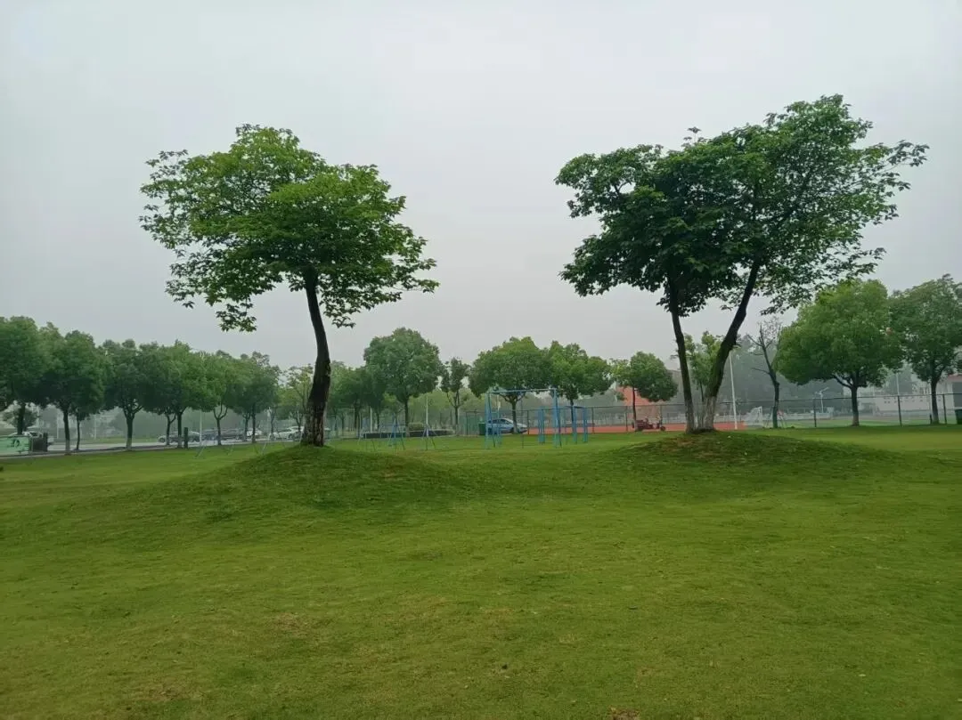 六安市新安中学适应性考试试卷作文分析 第4张 六安市新安中学适应性考试试卷作文分析 第4张