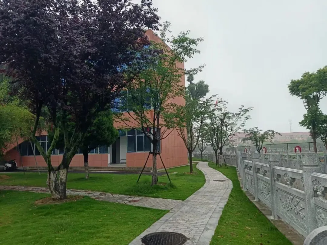 六安市新安中学适应性考试试卷作文分析 第9张 六安市新安中学适应性考试试卷作文分析 第9张