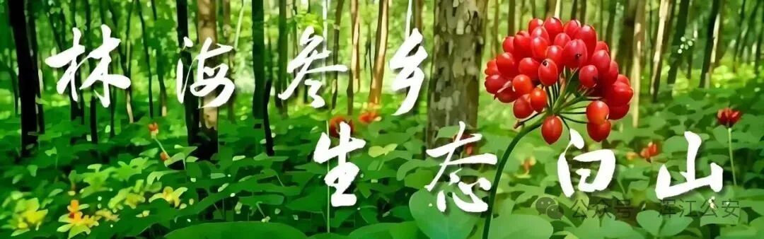 浑江公安反诈日历第14期:凡是“高考真题”“高考答案”都是诈骗! 第2张