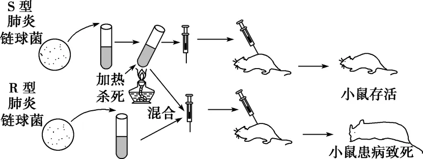 高一下期末-生物-基因的本质真题汇编试卷考答案解析考点题型 第1张