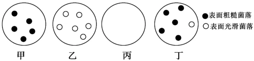高一下期末-生物-基因的本质真题汇编试卷考答案解析考点题型 第2张