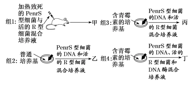 高一下期末-生物-基因的本质真题汇编试卷考答案解析考点题型 第3张