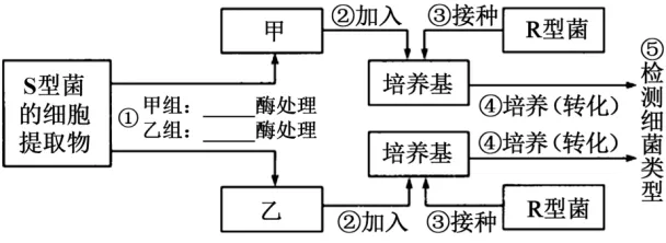 高一下期末-生物-基因的本质真题汇编试卷考答案解析考点题型 第7张