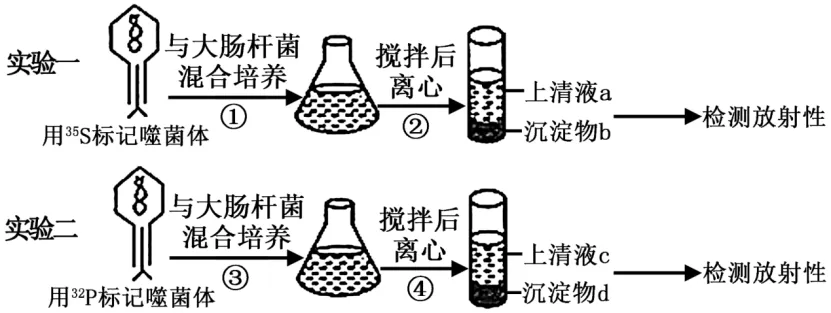 高一下期末-生物-基因的本质真题汇编试卷考答案解析考点题型 第10张