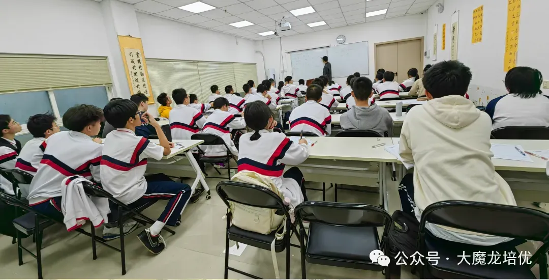 广东省大湾区2026届高三上10月联考试卷+答案 第21张 广东省大湾区2026届高三上10月联考试卷+答案 第21张