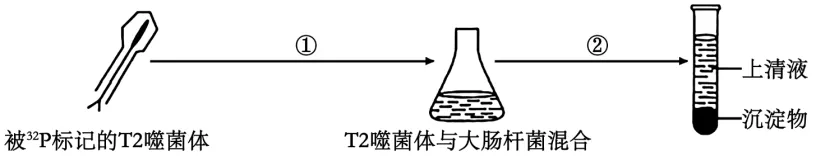 高一下期末-生物-基因的本质真题汇编试卷考答案解析考点题型 第17张